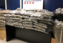 Detenido hombre del Vallès Oriental por poseer 150 kg de marihuana