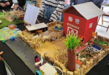 11 centros educativos de Granollers participan en la 7a Vallèsbot