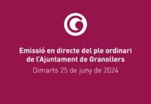 Martes 25, pleno ordinario del mes de junio