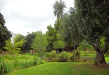 Granollers dispone de una cincuentena de refugios climáticos para combatir el calor intenso