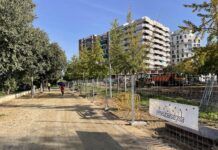 Avanza la renaturalización alrededor del río Congost con la apertura a los peatones de un tramo del paseo Fluvial y la remodelación de la plaza Sant Tomàs d’Aquino