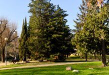 Granollers tiene alrededor de cuarenta refugios climáticos para lidiar con el calor