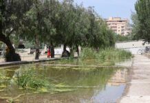 Lake West se convierte en un nuevo espacio naturalizado en Granollers