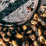 Con motivo de Todos los Santos, el Cementerio Municipal amplía su horario de 9 a 18 horas