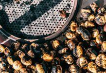 Con motivo de Todos los Santos, el Cementerio Municipal amplía su horario de 9 a 18 horas